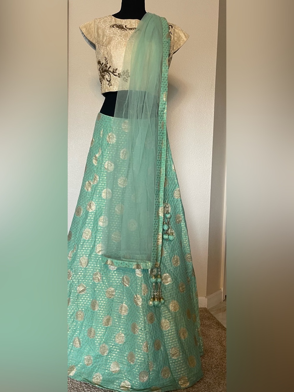 Pastel Green and Gold Silk Lehenga with detailed embroidery.